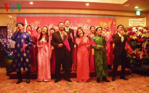 Vietnamese embassies hold Tet celebrations - ảnh 2